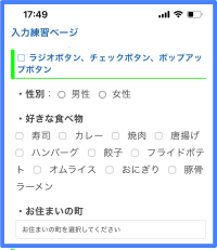 ラジオボタン等が表示された入力練習ページ